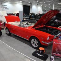 DSC_7794.jpg