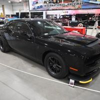 DSC_7844.jpg
