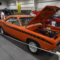 DSC_7808.jpg