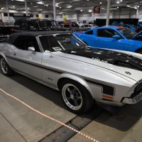 DSC_7899.jpg