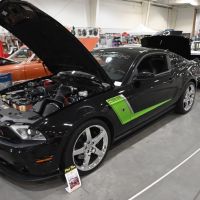 DSC_7919.jpg
