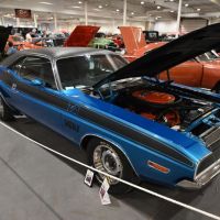 DSC_7804.jpg